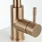 PVD Brown Colour kitchen faucet for American Market supplier