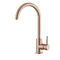 Stainless Steel 304/316 Material Kitchen Fitting Single Handle Sink Faucet Hot Sales Water Faucet With Copper Color supplier