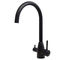 Pure Black Stainless Steel 304 Tap Sus316 Hot And Cold Filter Water Tap Mixer Handles Kitchen Faucet supplier