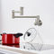 Stainless Steel 304/316 Brushed Wall Mount Pot Filler Fold Swivel Mixer Two Handle Kitchen Faucet supplier