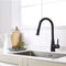 Steel 304/316 Material 2 Way CUPC Black Pull Down Kitchen Faucet Water Tap Kitchen Mixer Faucet With Spray supplier
